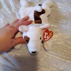 Butch ty beanie baby